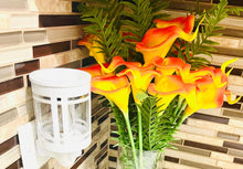 Load image into Gallery viewer, Plug-In Wax Warmers