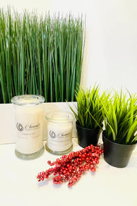 Apple Jazz Soy Candles